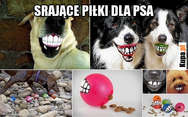Srające piłki dla psa
