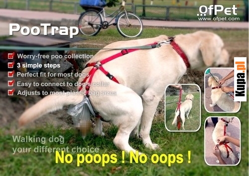 No poops, no oops - nowa generacja worków na psie odchody