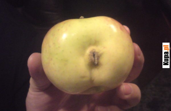 Jabłka GMO